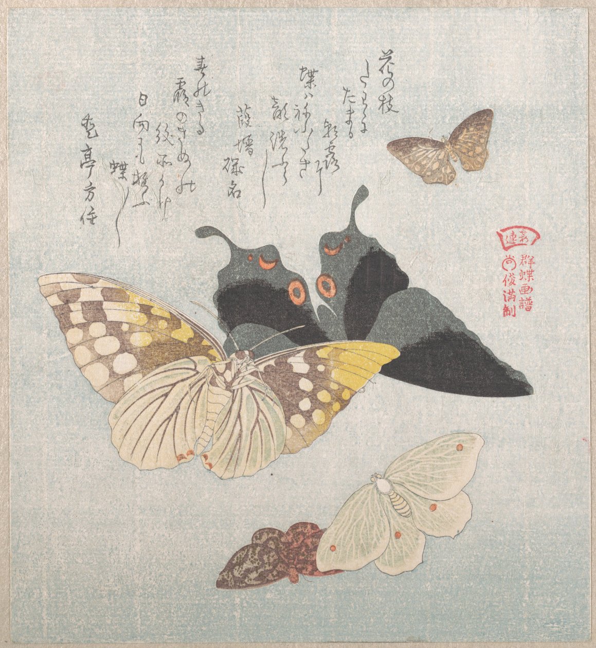Várias traças e borboletas de Kubo Shunman