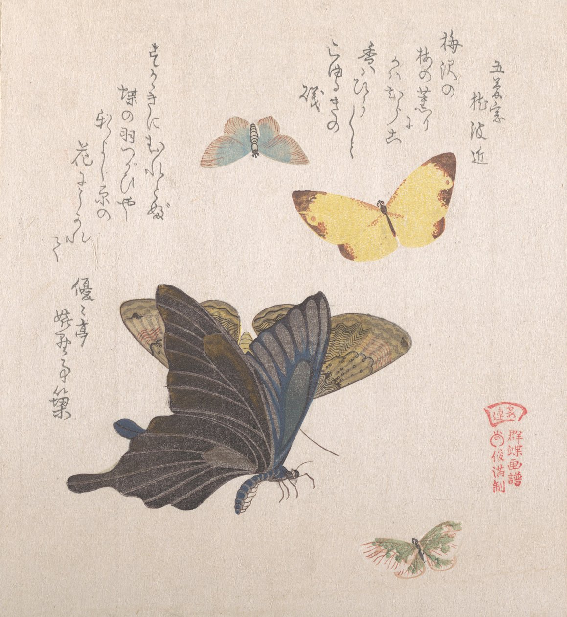 Várias mariposas e borboletas, século XIX. de Kubo Shunman