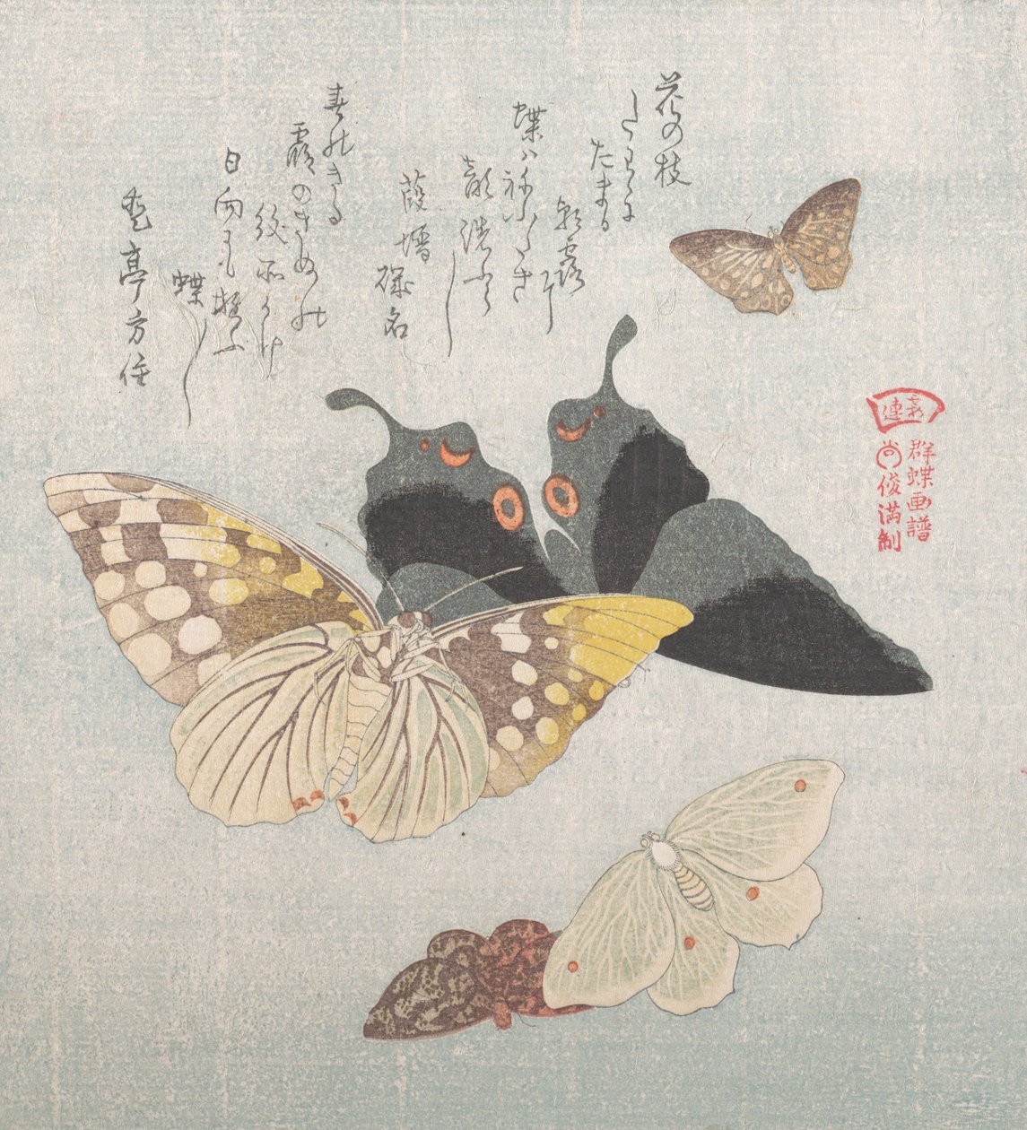 Várias mariposas e borboletas, século XIX. de Kubo Shunman