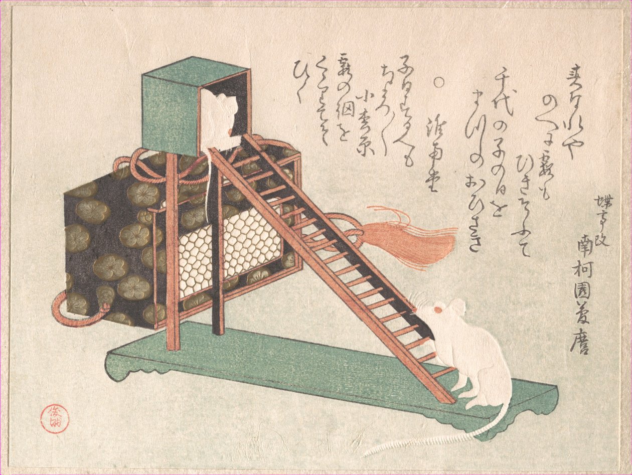 Ratos brancos a brincar de Kubo Shunman