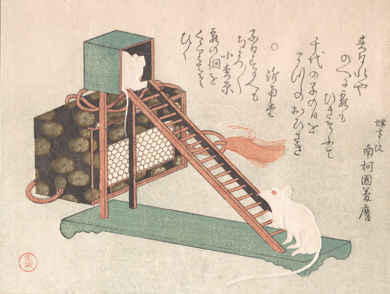 Ratos brancos a brincar, provavelmente em 1816. de Kubo Shunman