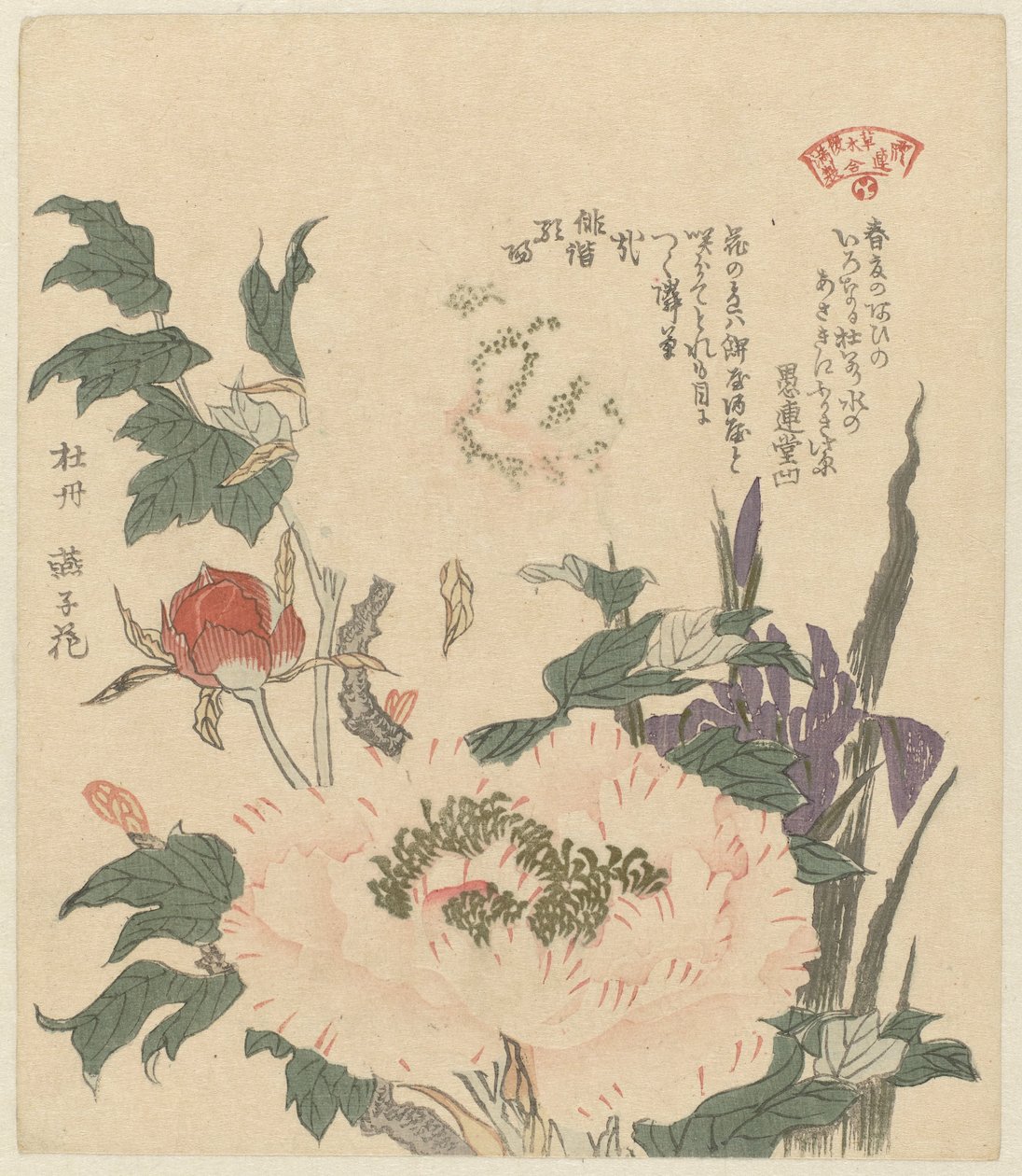 Peónias e íris
Kakitsubata botan (título sobre o objecto)
Uma selecção de plantas para a sociedade de poesia Kasumi (título da série)
Kasumiren sômoku awase (título da série sobre o objecto) de Kubota Shunman