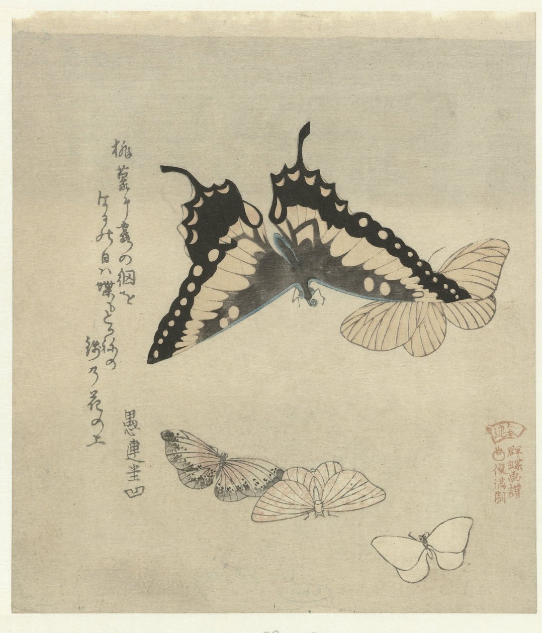 Cinco borboletas Uma série de estampas com borboletas para a Kasumi Poetry Society (título da série) Kasumiren gunchô gafu (título da série no objeto) de Kubota Shunman