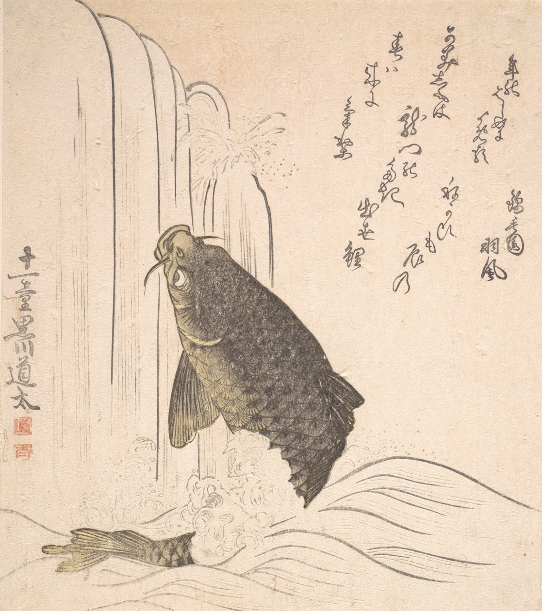 Carpa a tentar nadar numa cascata, provavelmente em 1820. de Kurokawa Michita