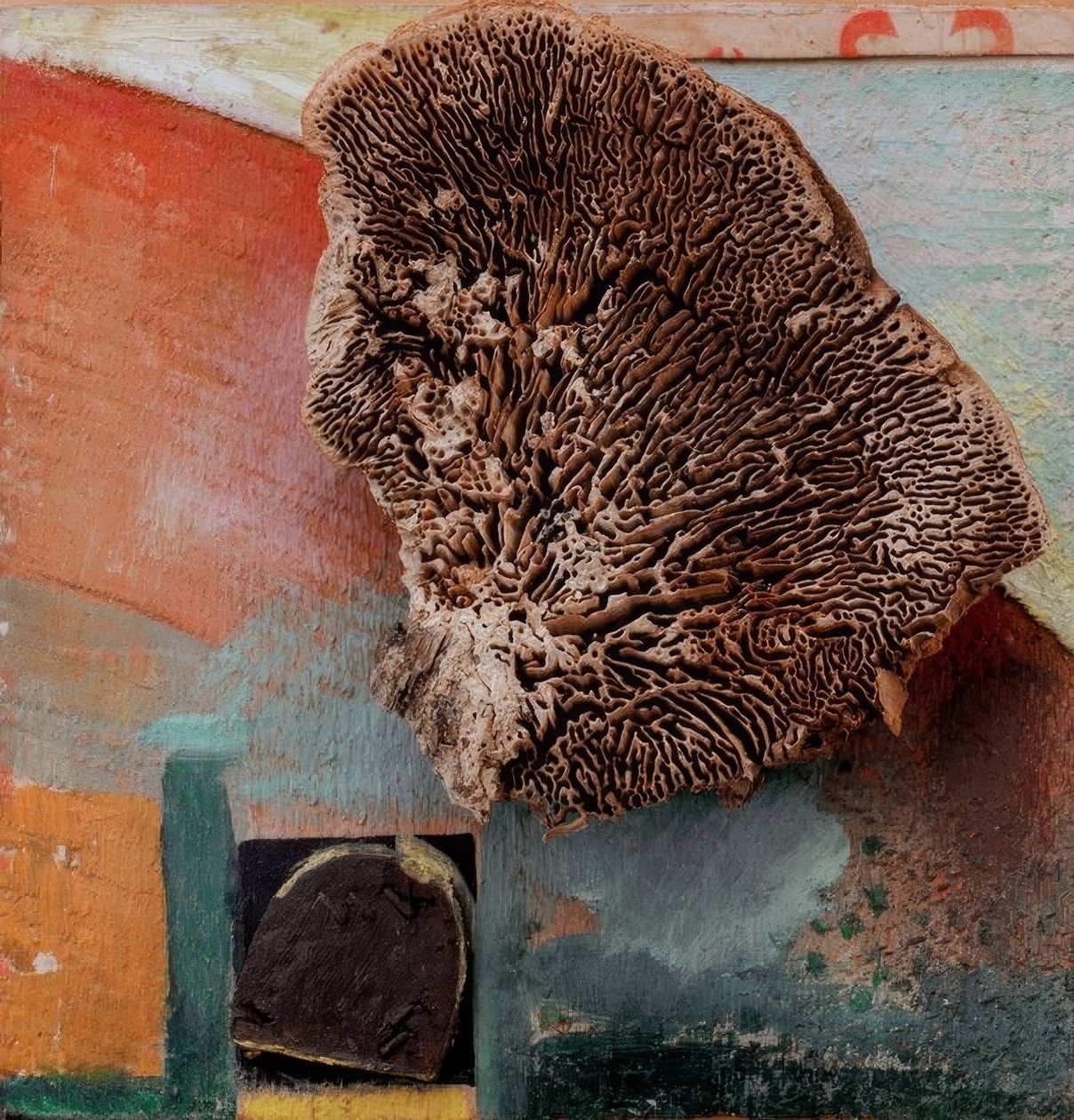 Sem título (foto Merz com coral) de Kurt Schwitters