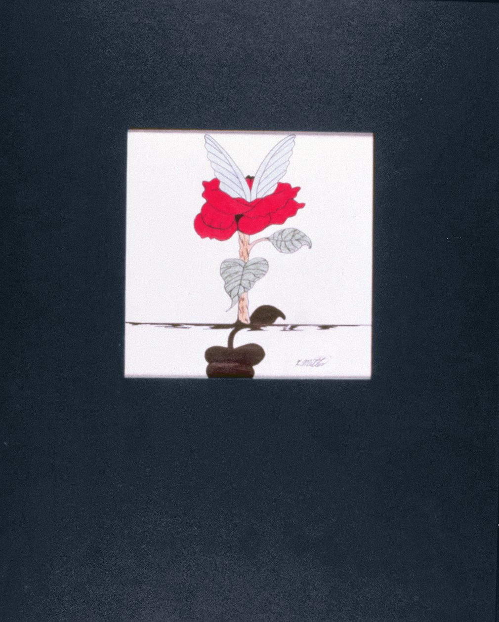 Anjo em flor, 2005 (lápis de cor e tinta preta sobre papel) de Kurtis L. Miller