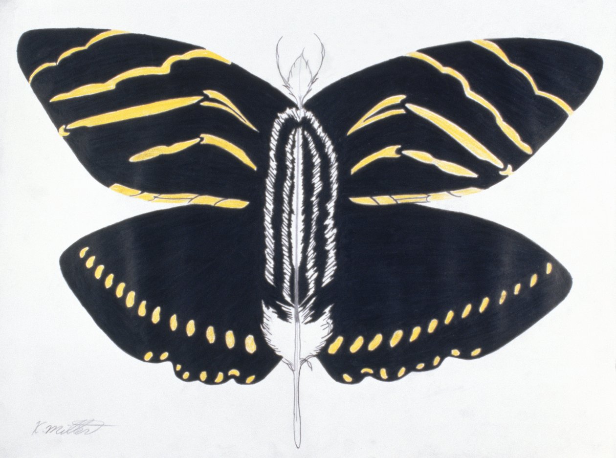 Borboleta com penas, 2004 (lápis de cor sobre papel) de Kurtis L. Miller