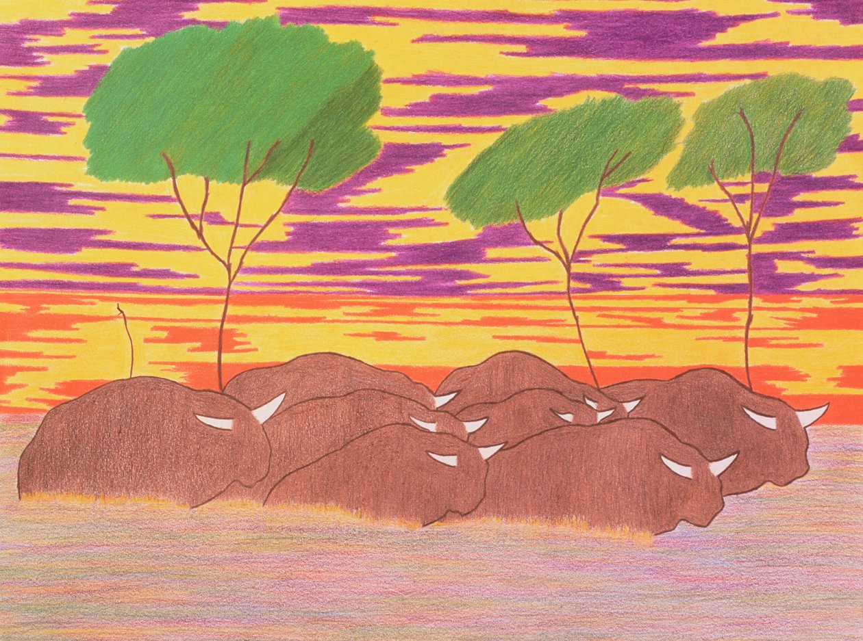 Marcha do Búfalo de Água, 2004 (lápis de cor sobre papel) de Kurtis L. Miller