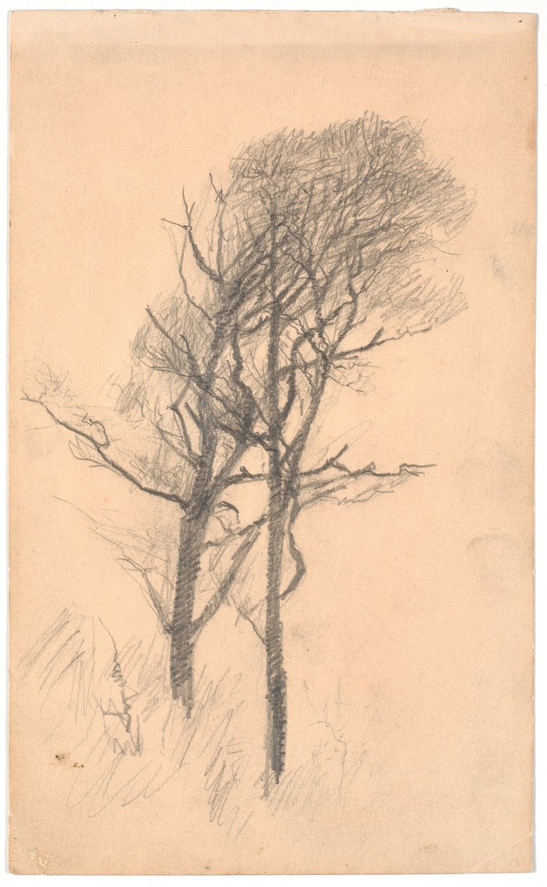 Duas árvores com vegetação rasteira de Laurits Andersen Ring