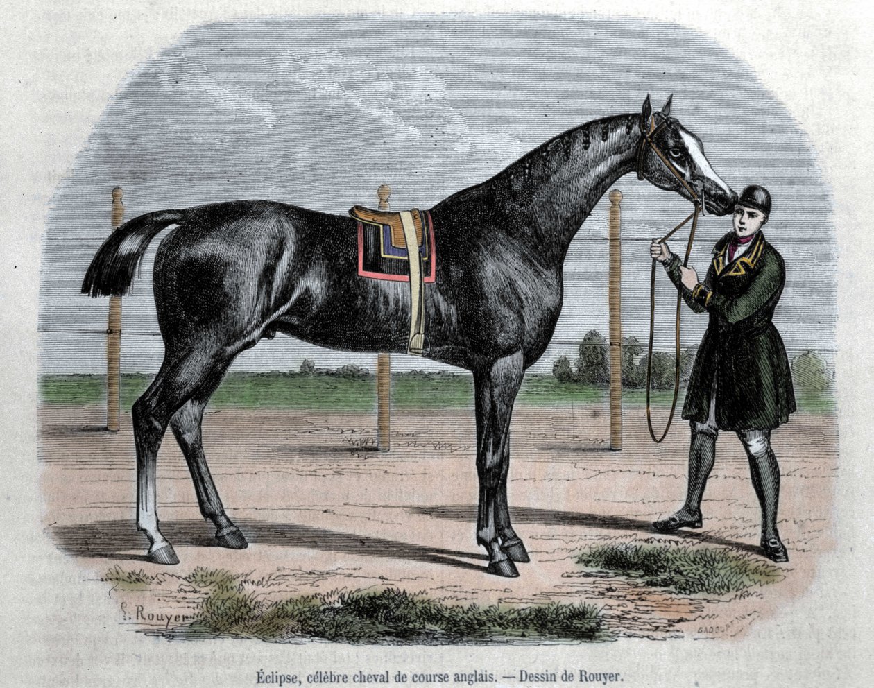 O cavalo de corrida inglês Eclipse. Ilustração de Rouyer. de L. (after) Rouyer