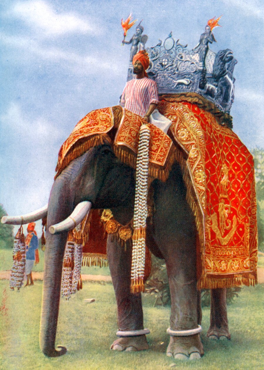 Um elefante majestoso na principal reunião festiva de Bengala, Índia, 1922. de L Barber