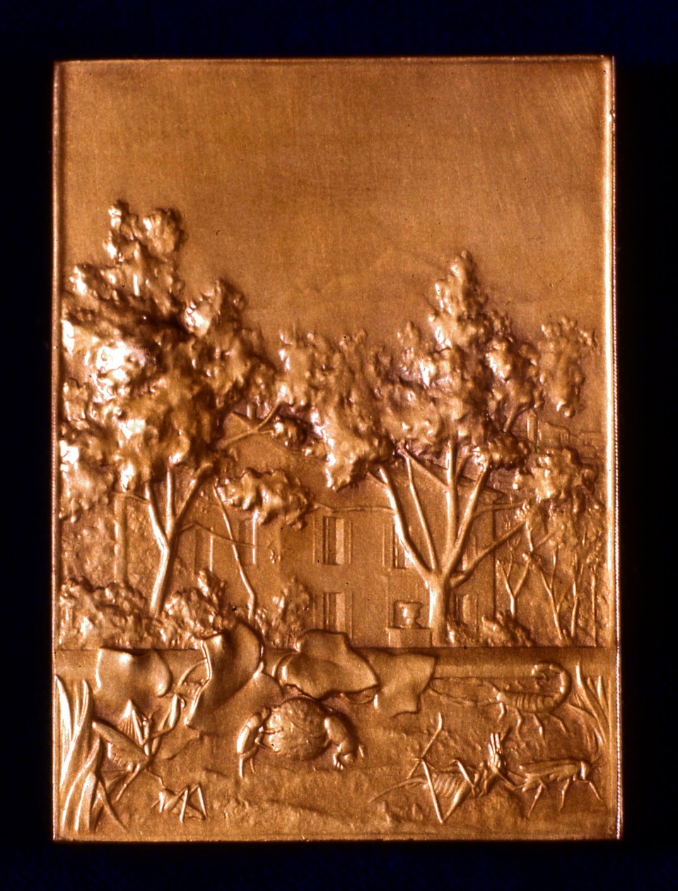 Insetos, 1911 de L. Patriarche