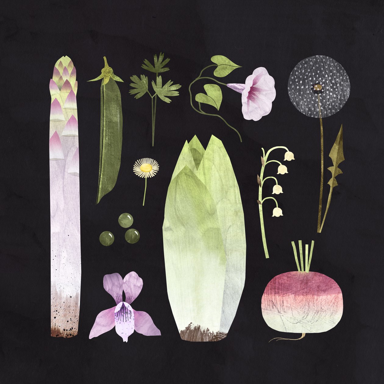 Vegetais e Flores, 2023 (digital) de Léa Le Pivert