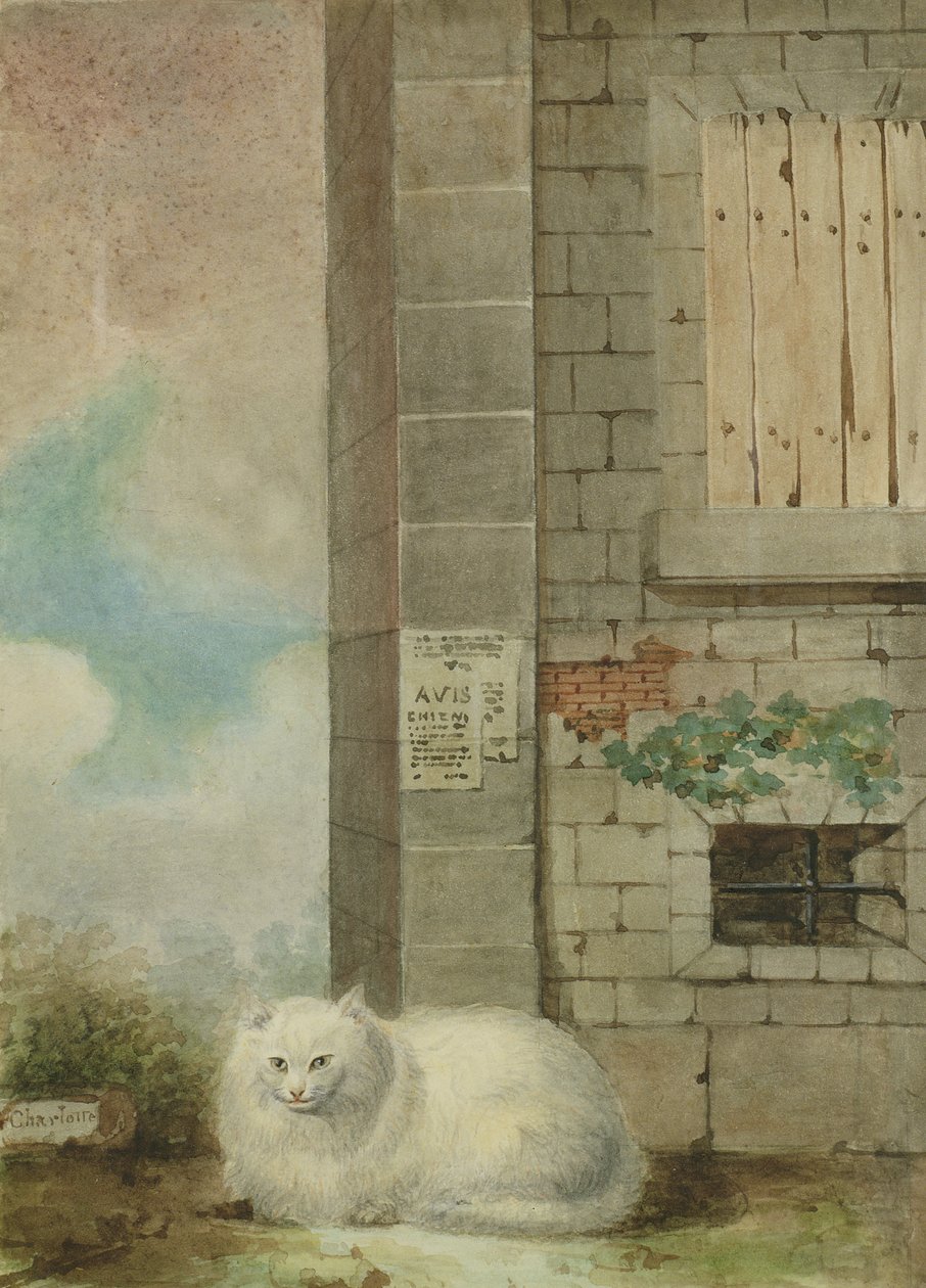 Gato persa branco de Lady Charlotte Schreiber