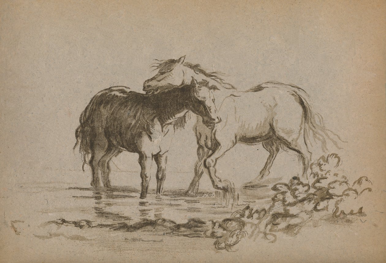 "Cavalos", 1903 de Lady Diana Spencer