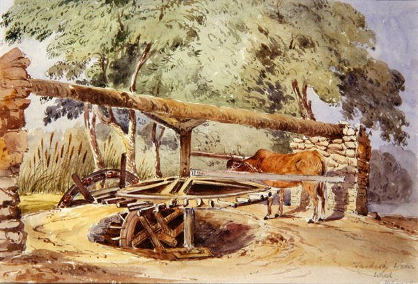 Roda da Água Turca, Heliópolis de Lady Louisa Tennyson