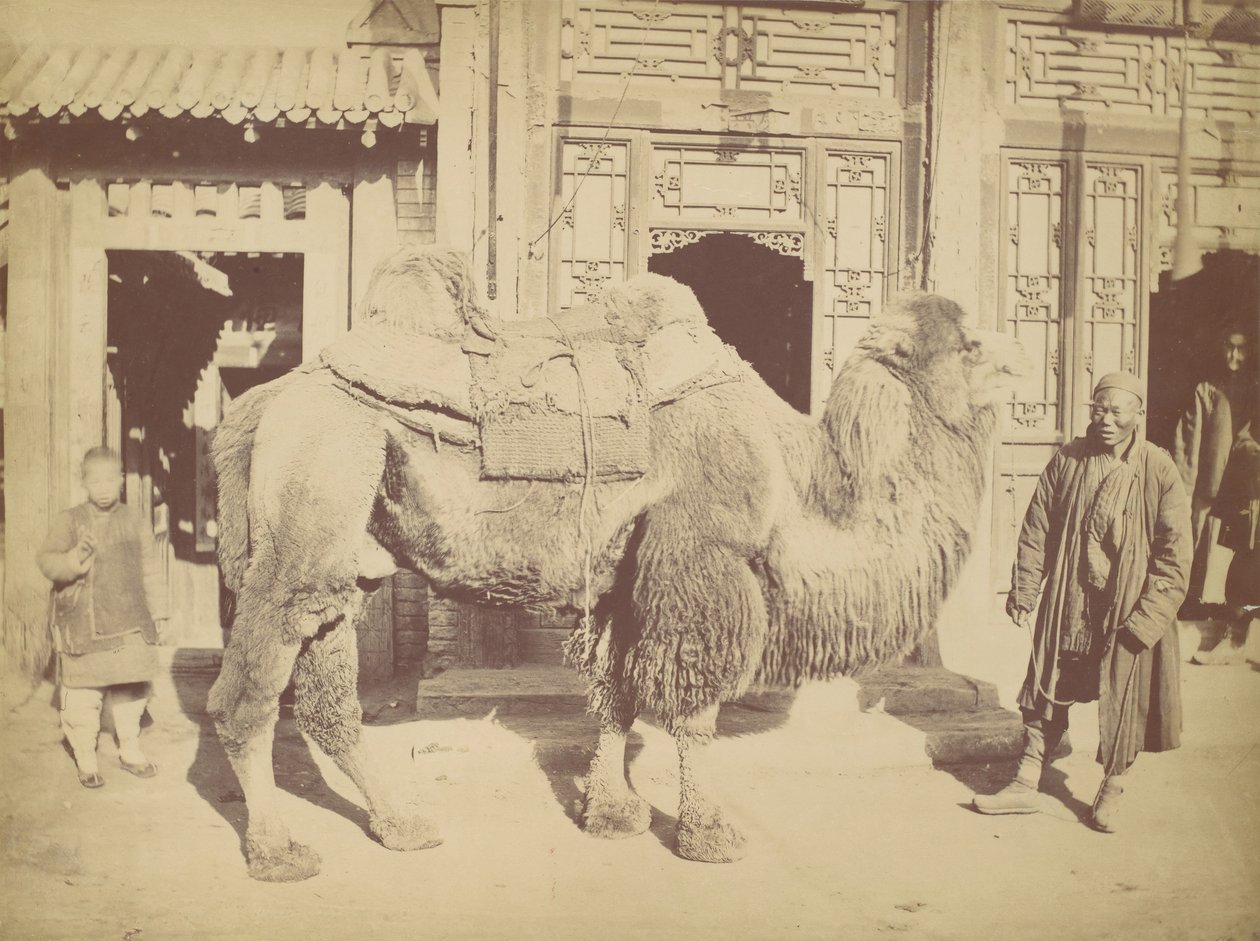 Pequim. do. 923, 1867. de Lai Fong.