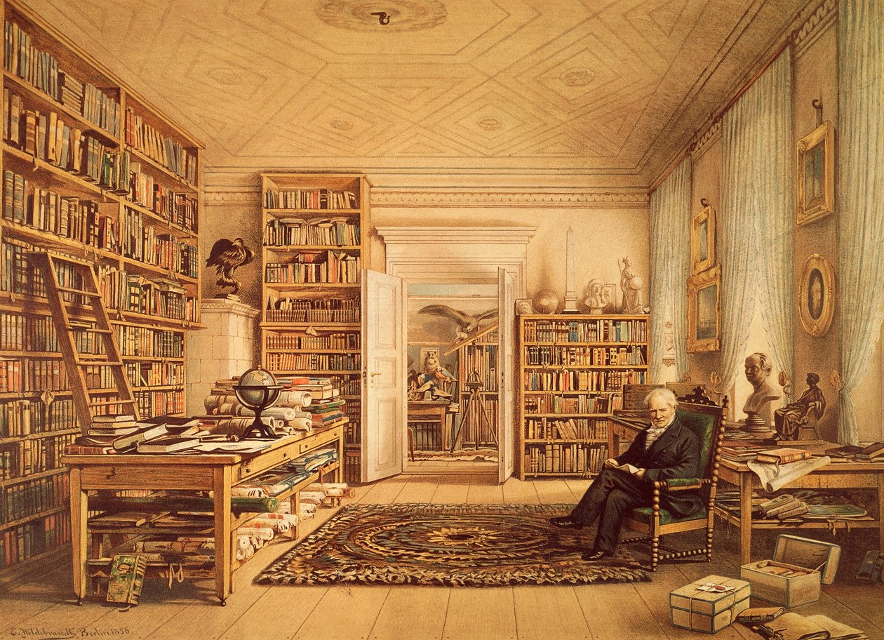 Retrato de Alexander von Humboldt (Berlim de Amadeo (after) Modigliani