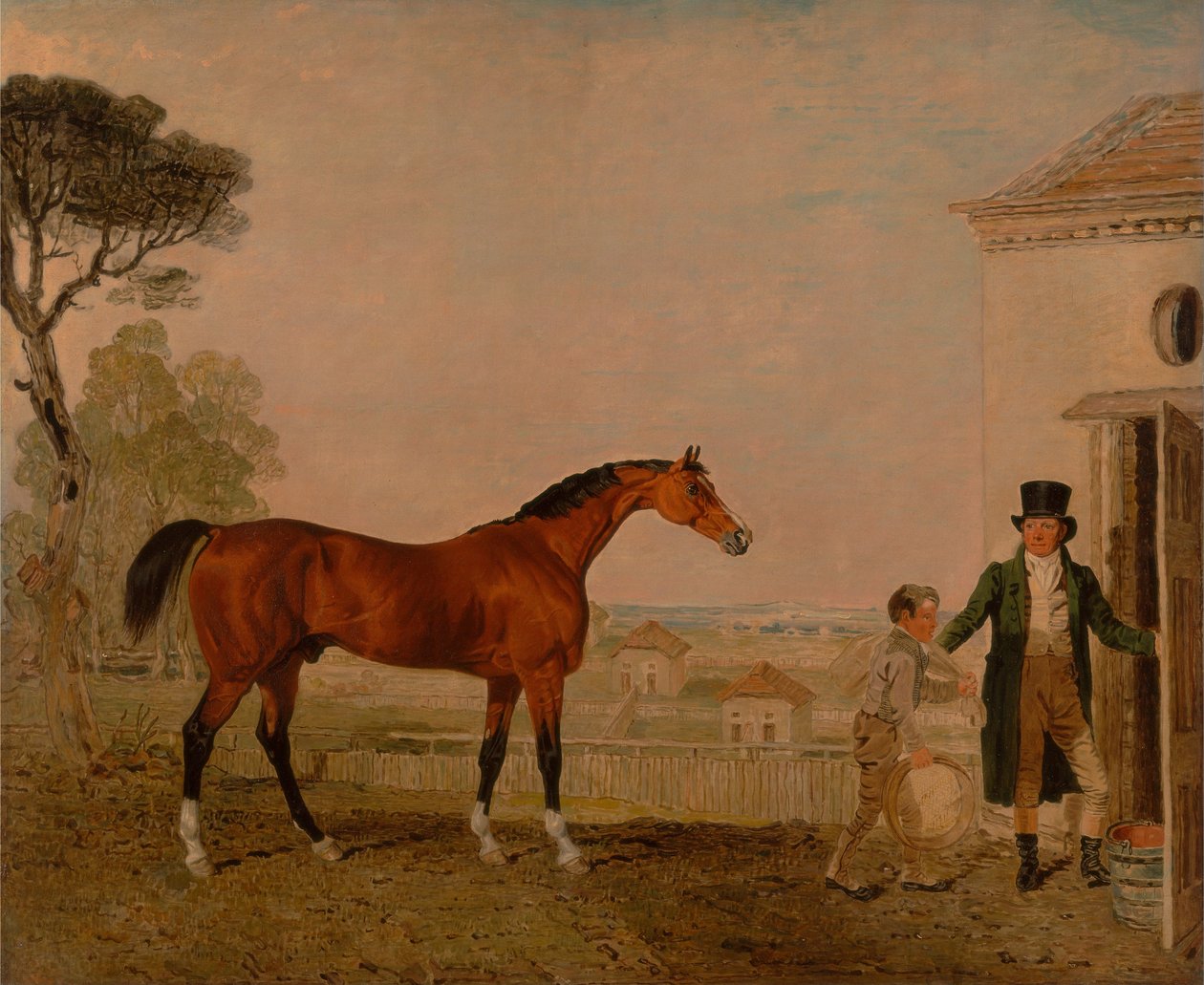 Sultão no Marquês de Exeters Stud, Burghley House de Lambert Marshall