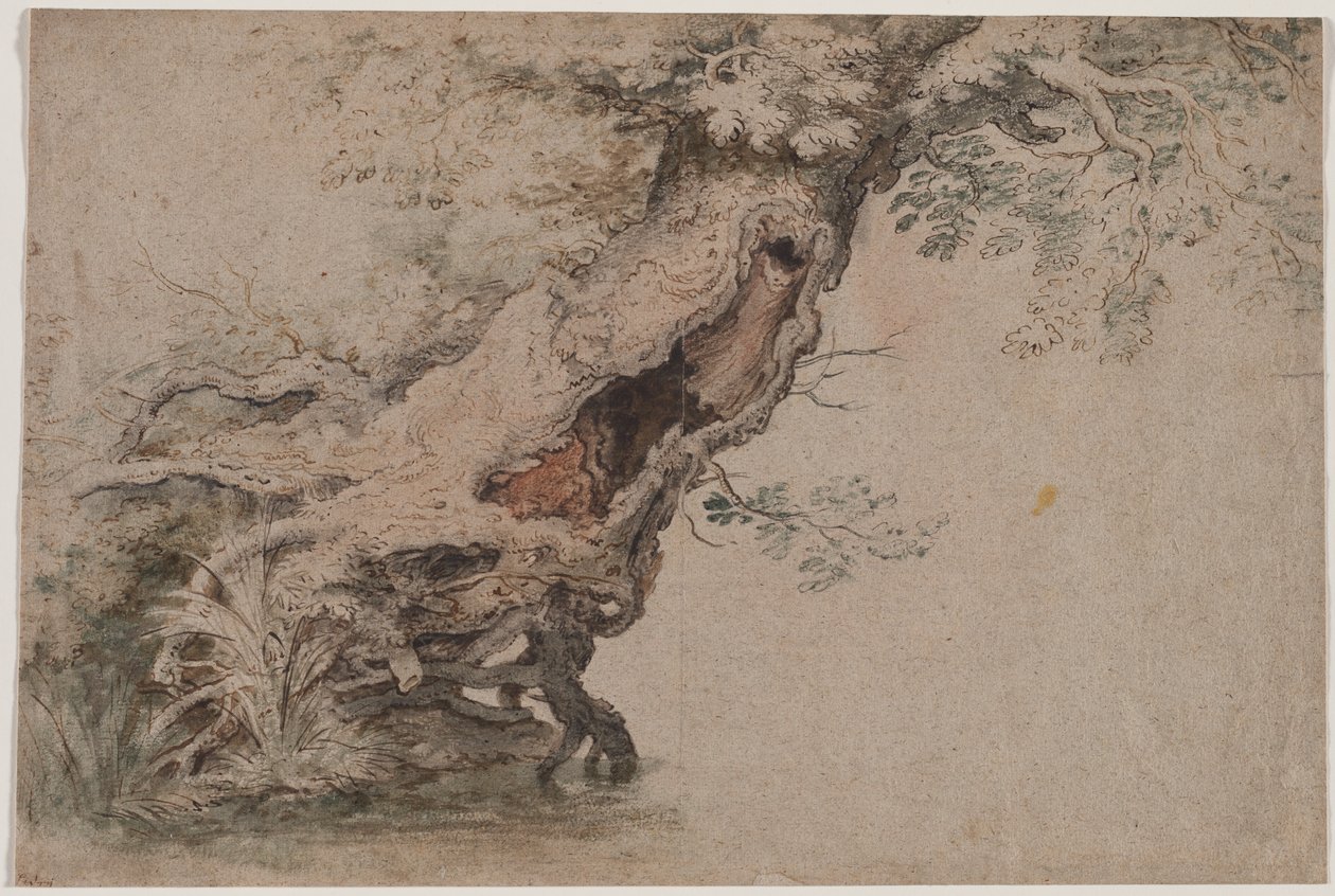 Hollow Tree, depois de Roelant Savery de Lambert Doomer