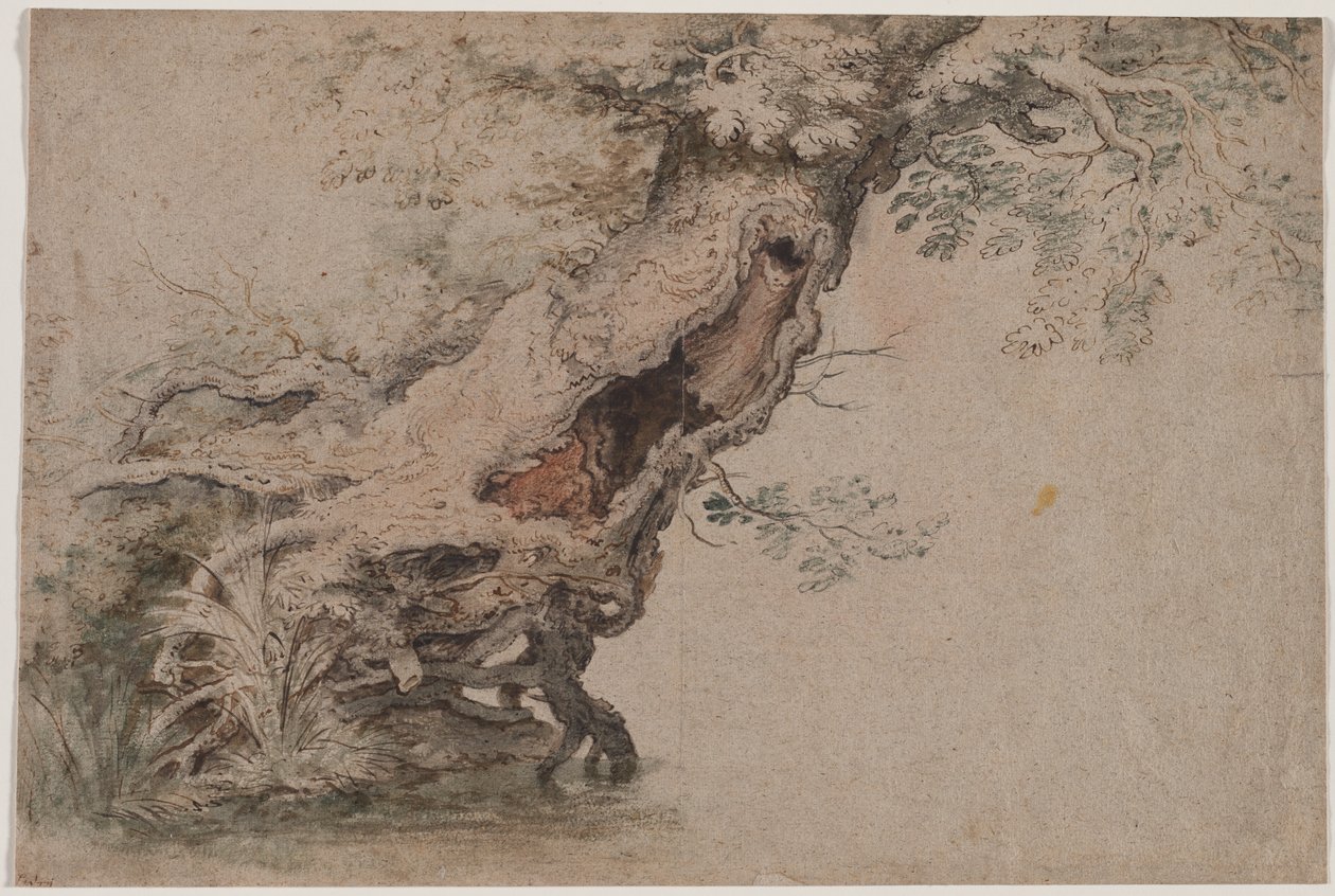 Hollow Tree, depois de Roelant Savery, depois de 1670. de Lambert Doomer