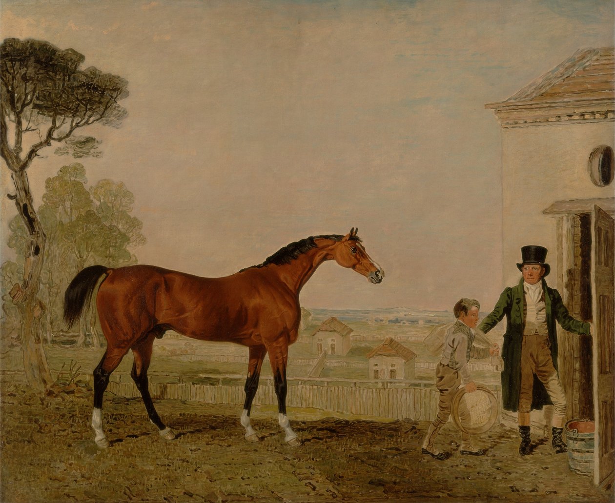&39;Sultan&39; no Marquess of Exeter&39;s Stud, Burghley de Lambert Marshall