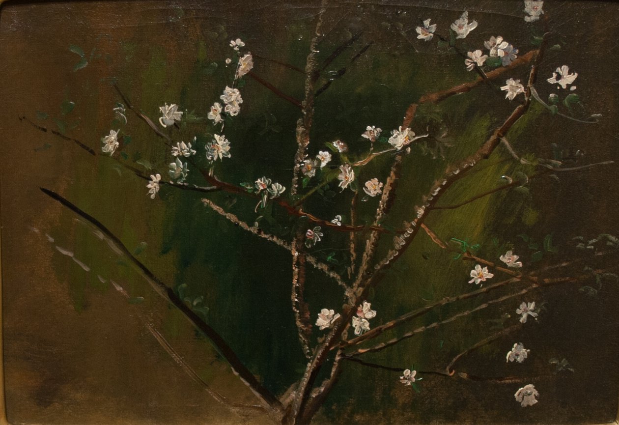 BlossomingnMagyar: Viragzasn de Laszlo Mednyanszky