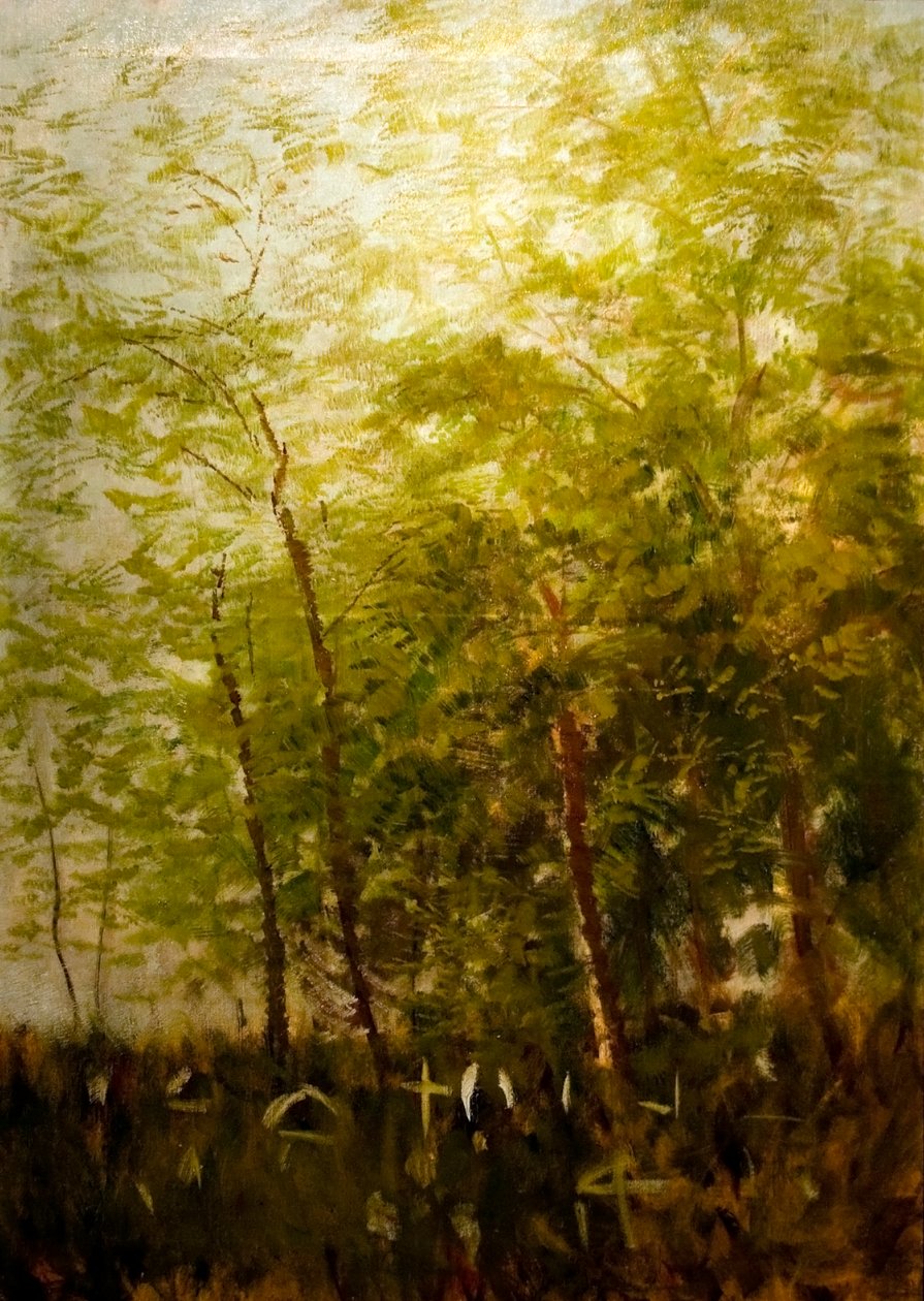 Erdoszele sirkeresztekkelnInglês: Fringe_of_Forest_with_Crossesn de Laszlo Mednyanszky