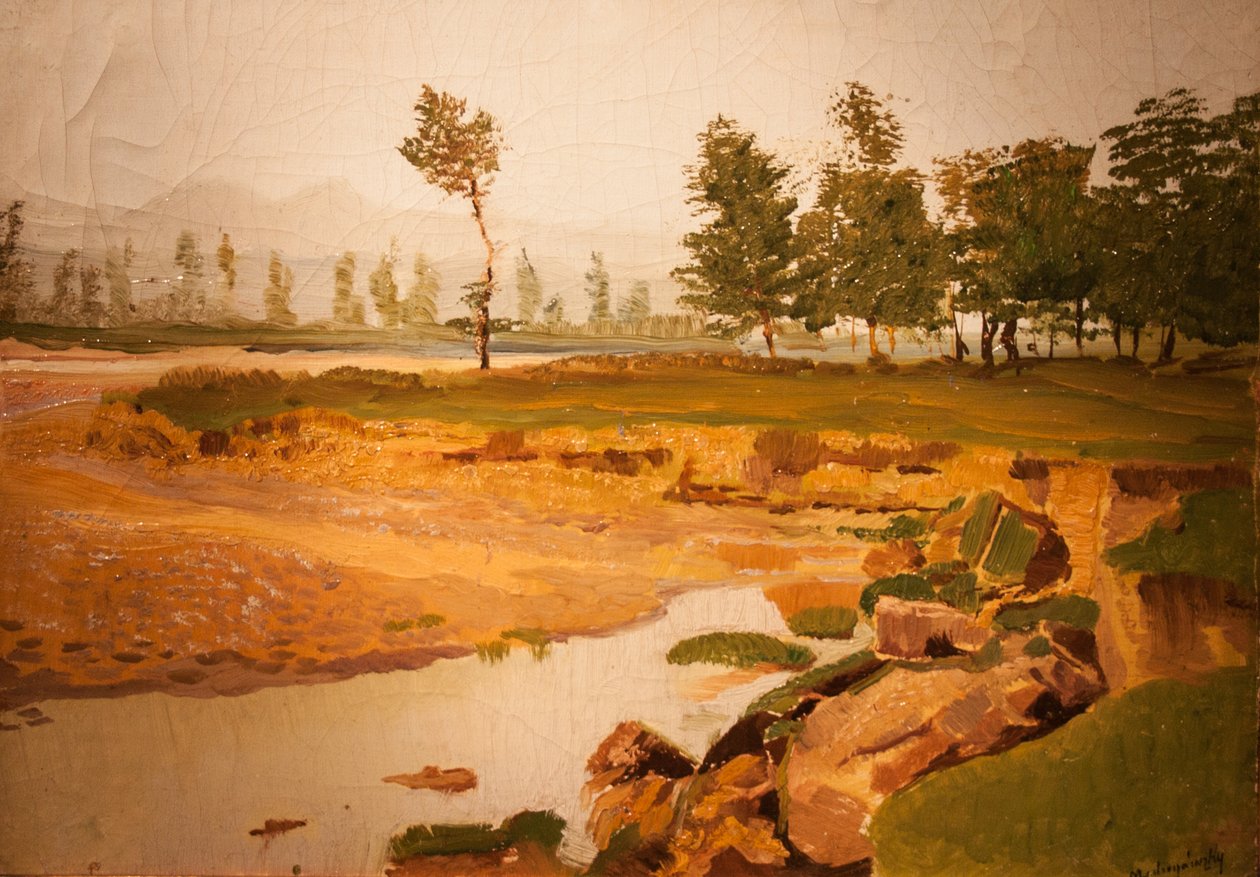 Primavera taynEnglish: Spring_Landscapen de Laszlo Mednyanszky