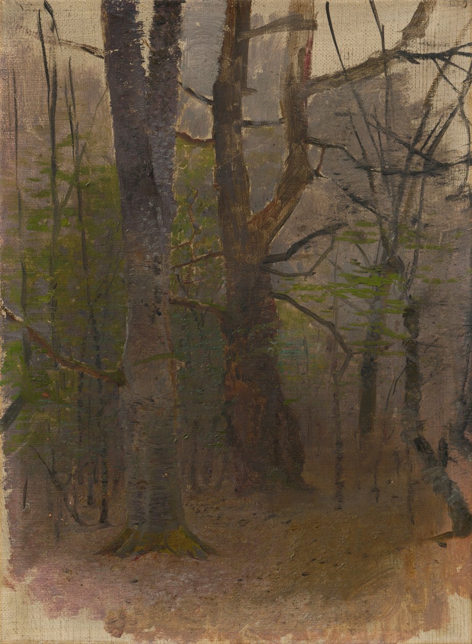 Início da primavera. Floresta de Laszlo Mednyanszky