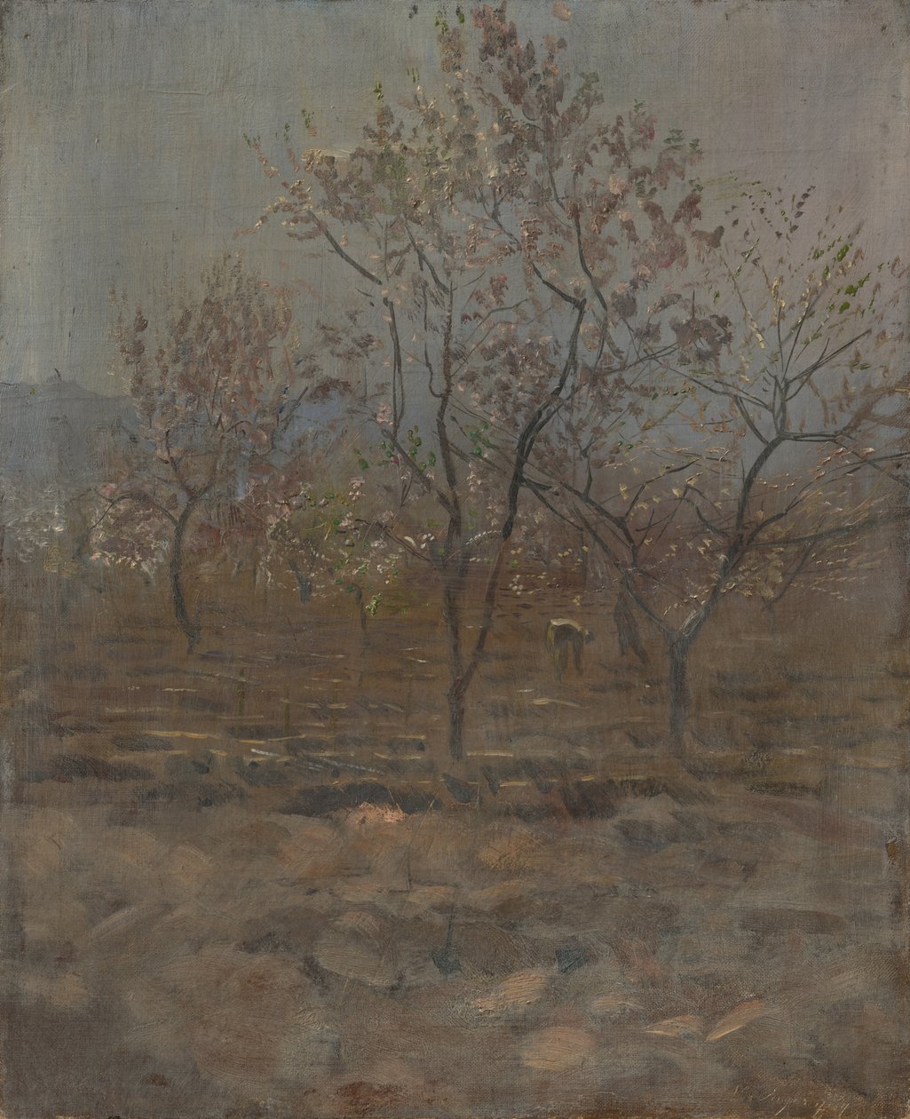 Árvores em flor de Laszlo Mednyanszky