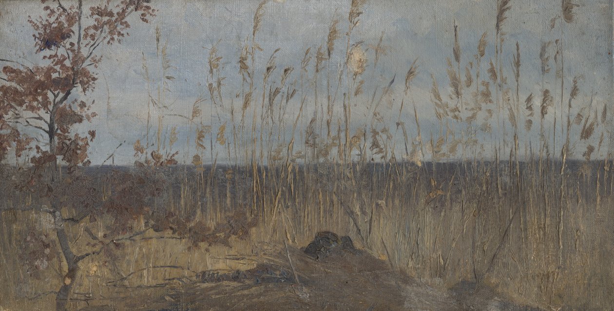 Estudo da paisagem ao redor do pantanal de Laszlo Mednyanszky