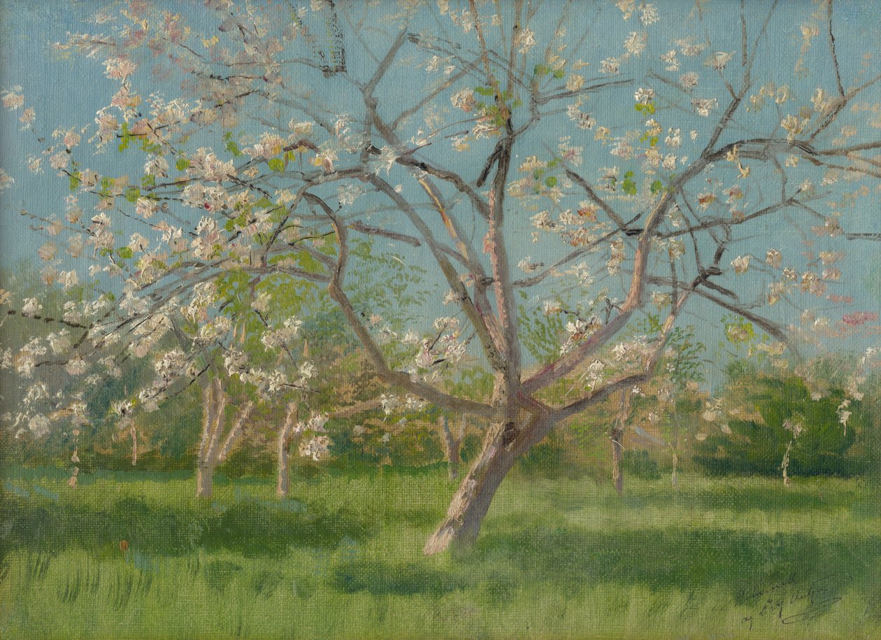 Árvores de pomar em flor, 1900-10 de Laszlo Mednyanszky
