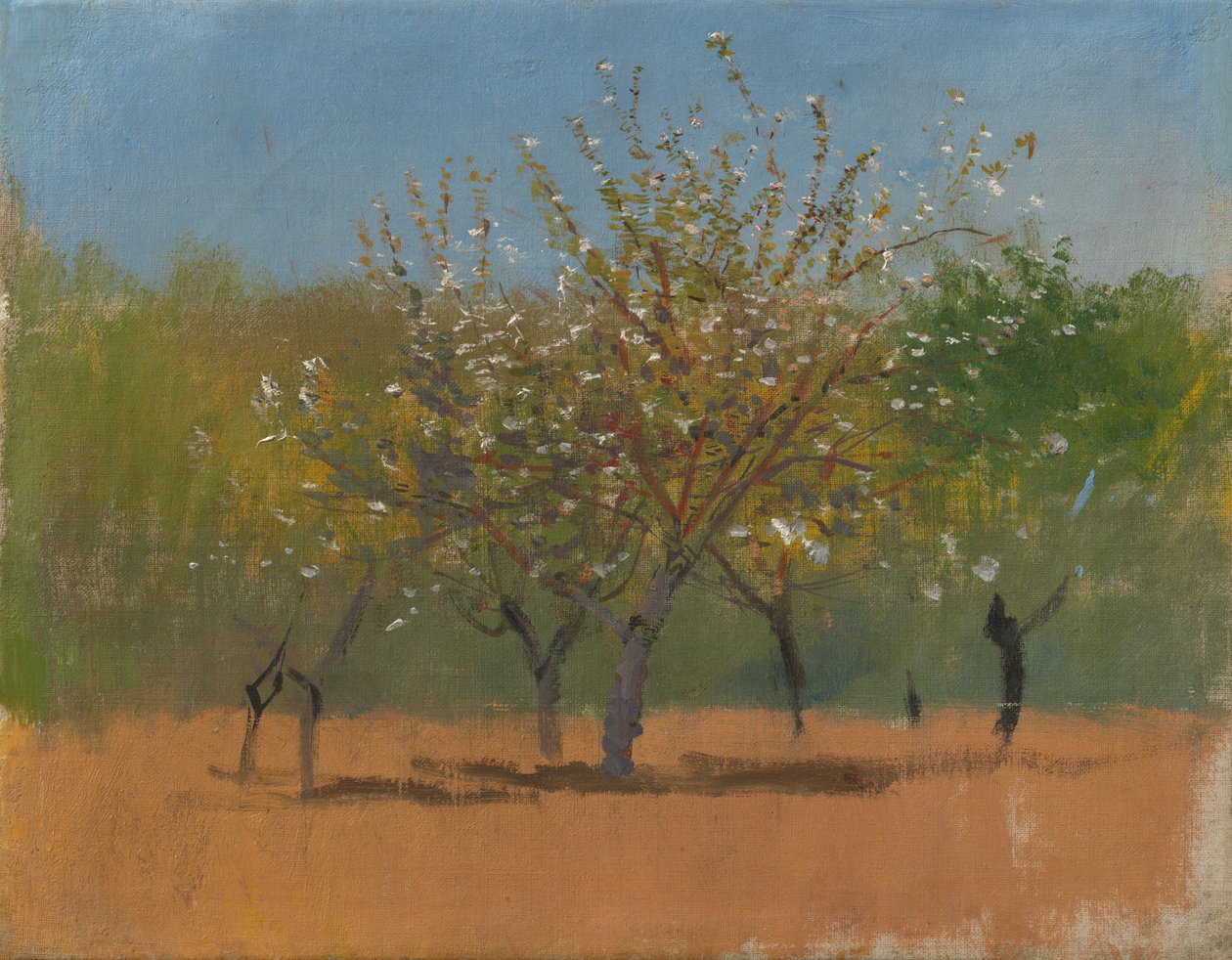 Árvores em flor, c.1880-90 (óleo sobre tela) de Laszlo Mednyanszky
