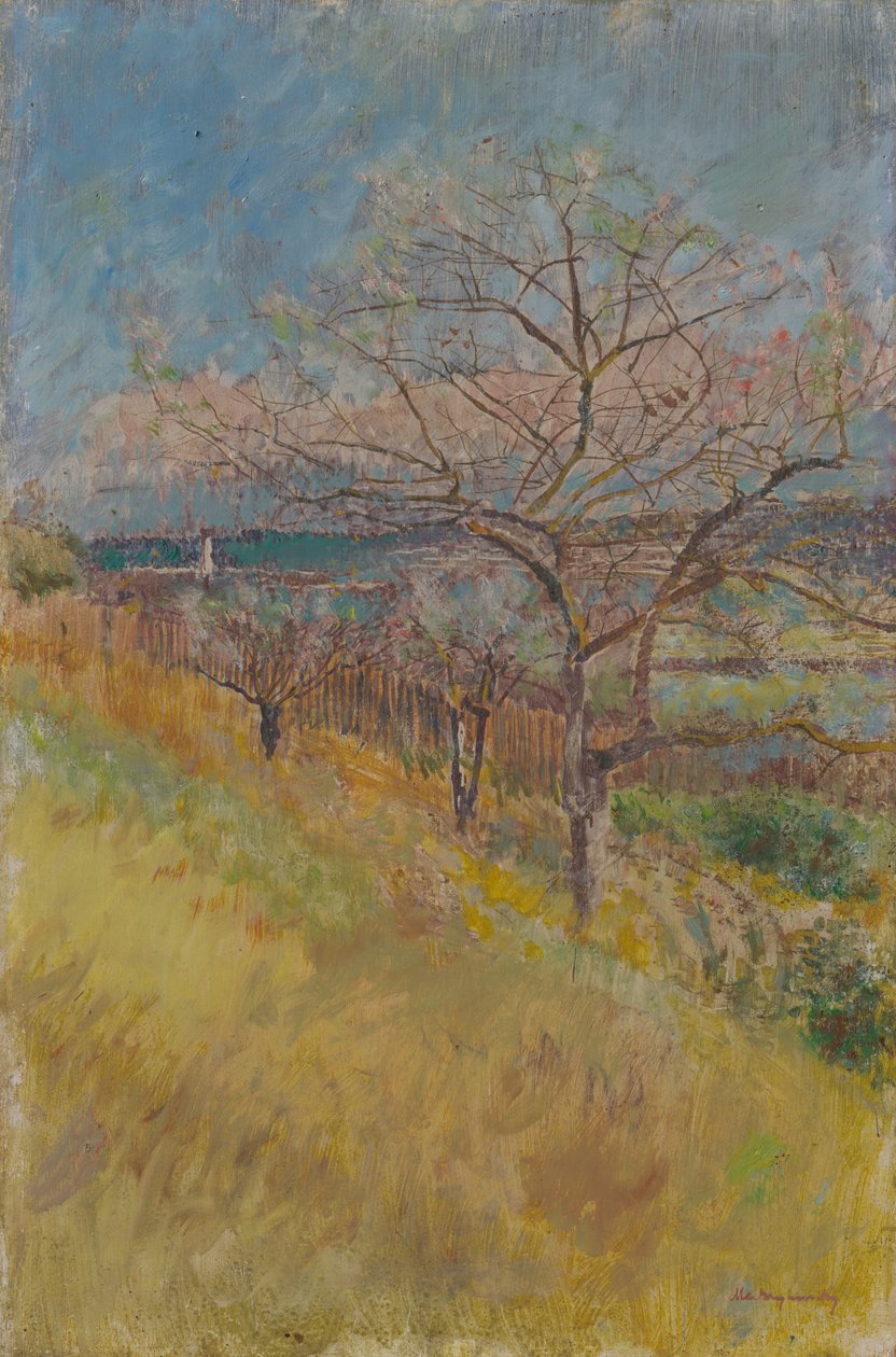 Vale com árvores em flor, 1890-1900 de Laszlo Mednyanszky