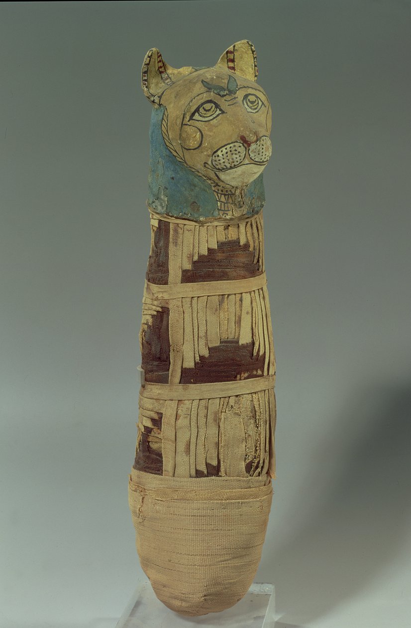 Gato mumificado (linho estampado e pintado) de Late Period Egyptian
