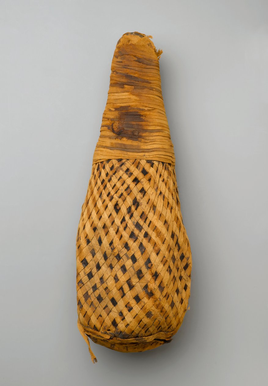Múmia de um íbis, 664-332 aC (restos de animais e linho) de Late Period Egyptian