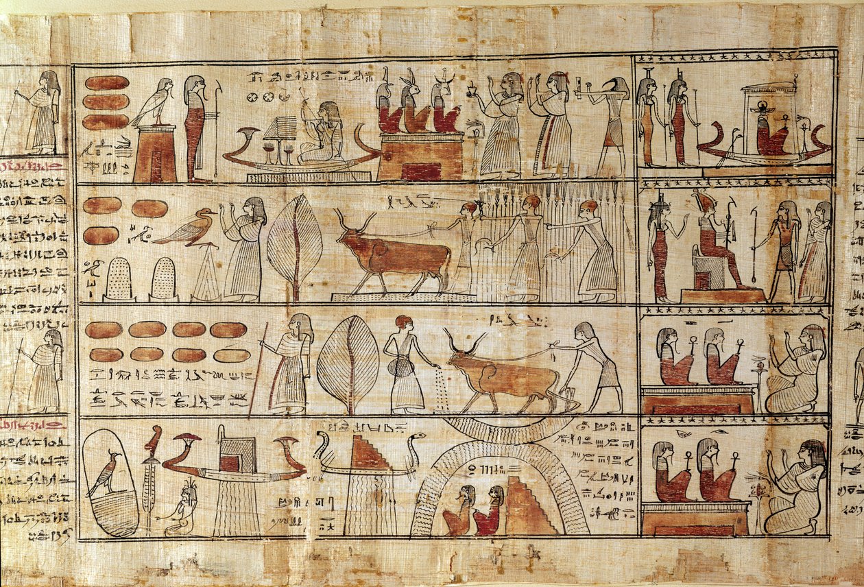 Cenas agrícolas, detalhe do livro dos mortos de Tsekhons (papiro) de Late Period Egyptian