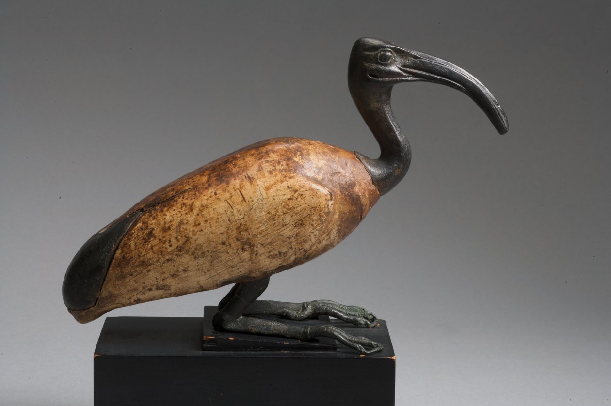 Ibis (bronze e madeira) de Late Period Egyptian