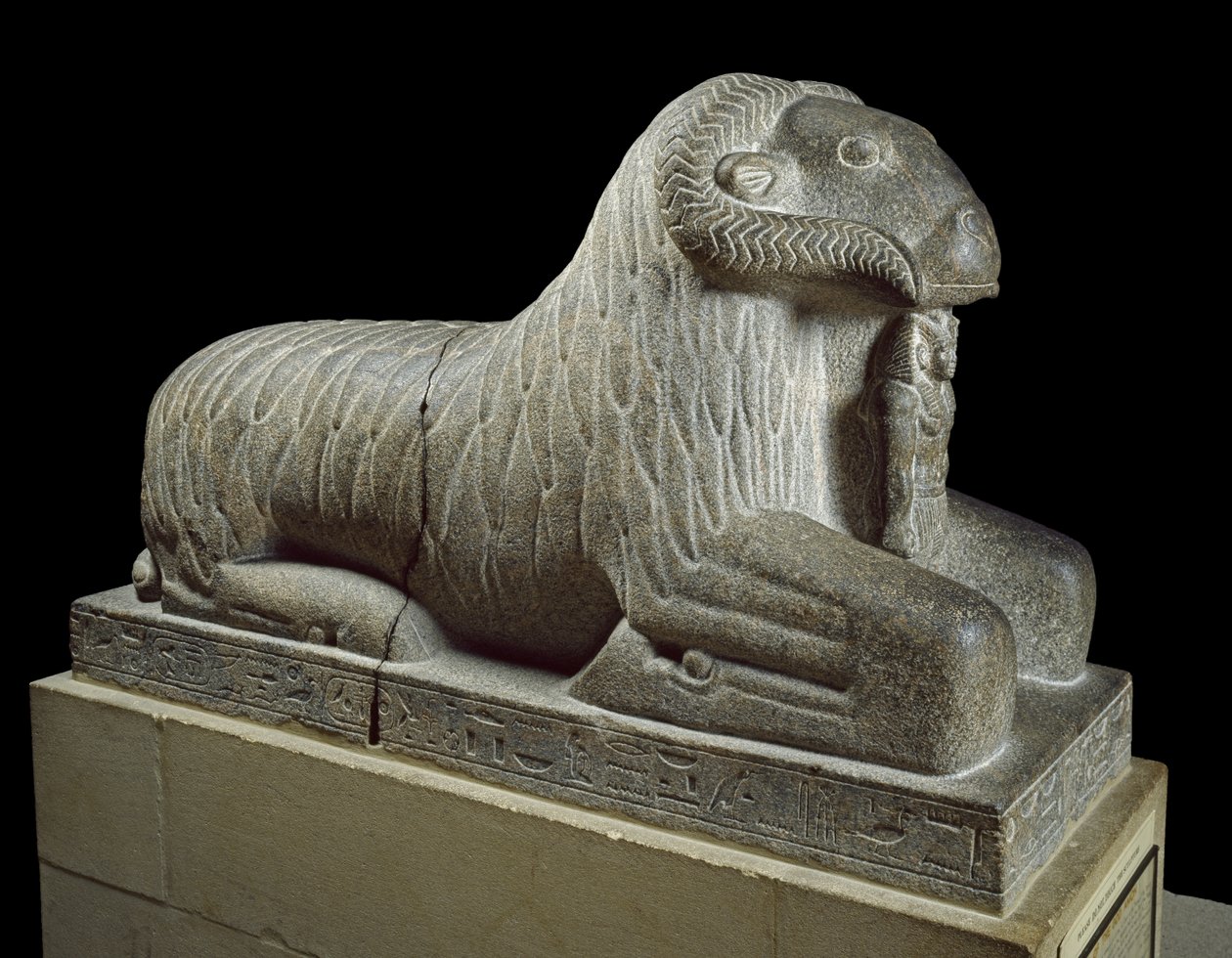 Estátua do carneiro de Amon, c.680 aC (granito) de Late Period Egyptian