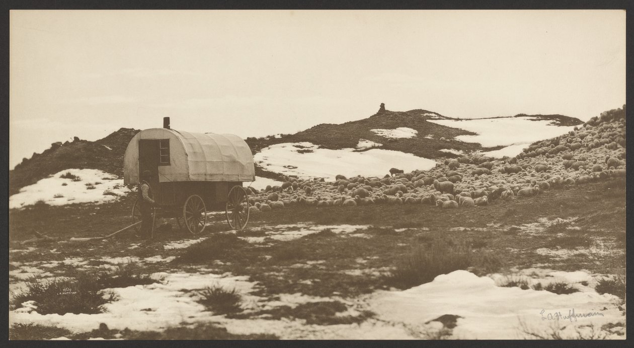 [Motorista, carroça de ovelhas e banda no parque de inverno]. de Laton Alton Huffman