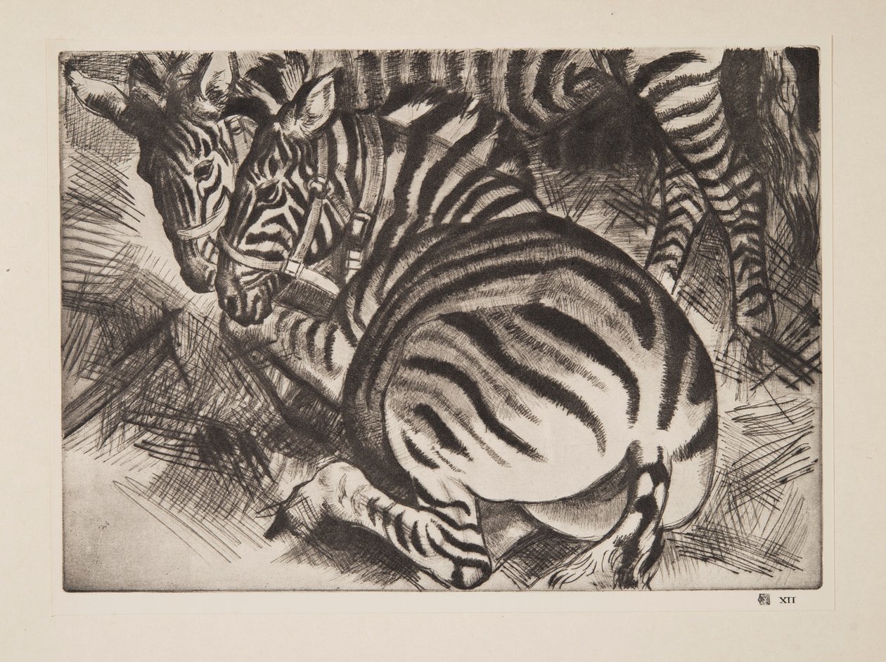 Zebras, bar. 1930. de Laura Knight