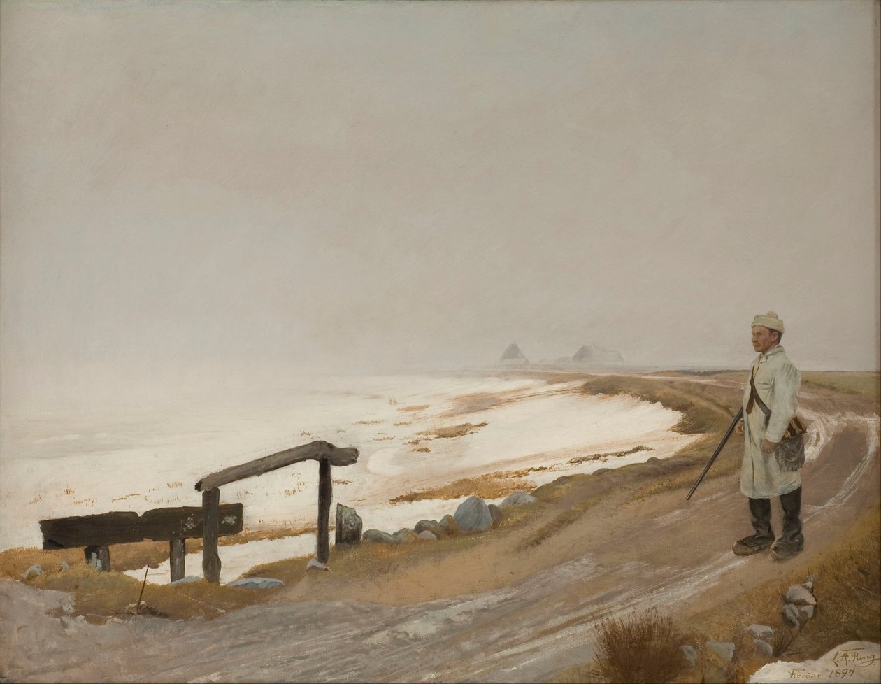 Dia de invernos nevoentos. Karrebæksminde de Laurits Andersen Ring