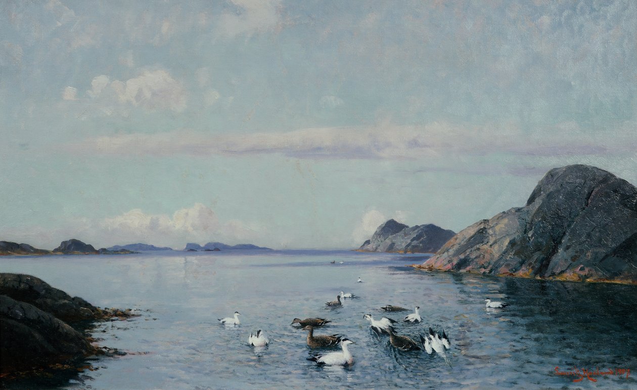 Costa Sul com aves marinhas de Lauritz Haaland