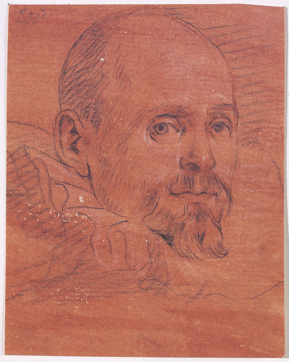 Retrato masculino de Lazzaro Tavarone