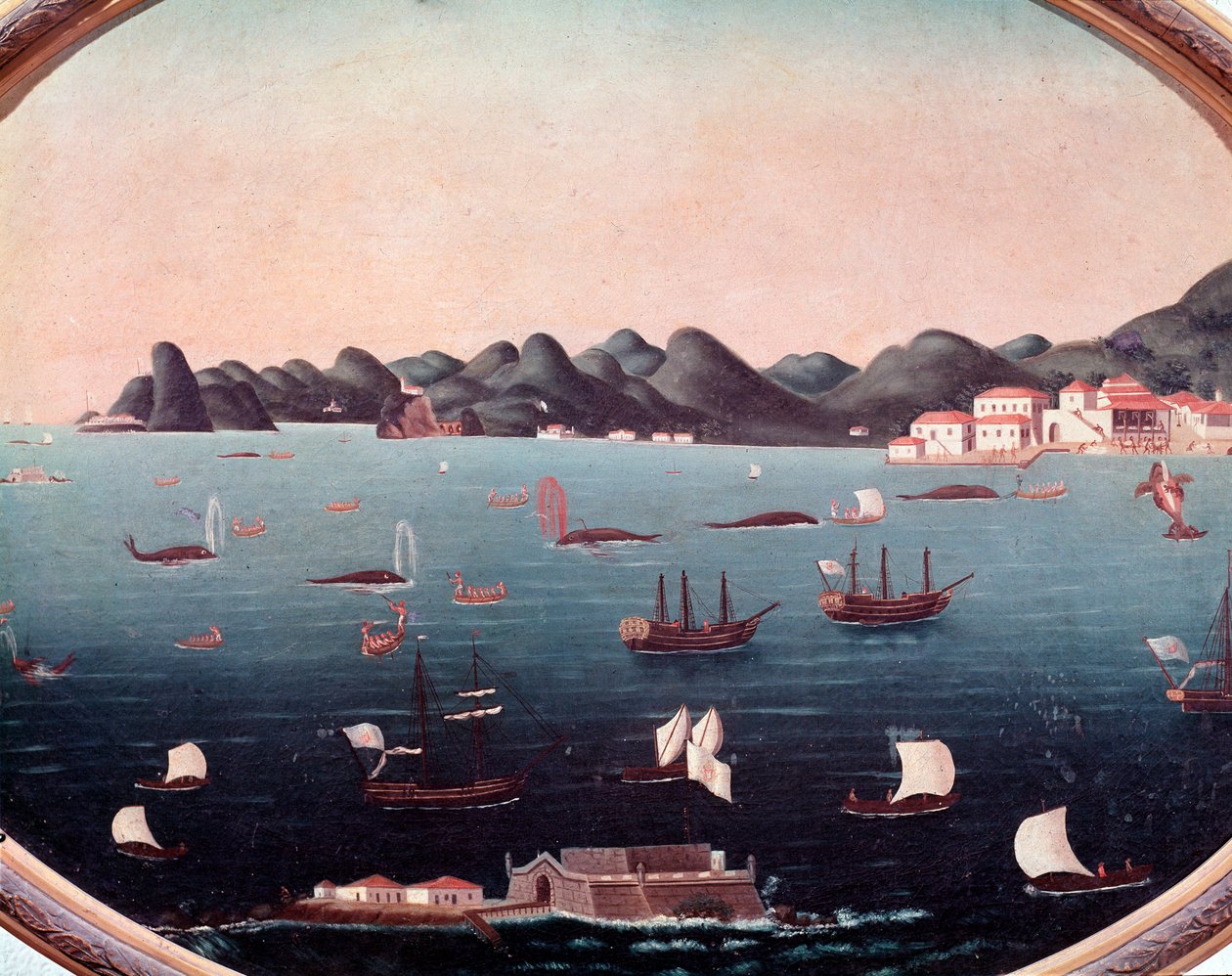 Baleeira na Baía de Guanabara no Brasil Aquarela de Leandro Joaquim (1738-1798) Século XVIII Rio de Janeiro, Museu Histórico Nacional de Leandro Joachim