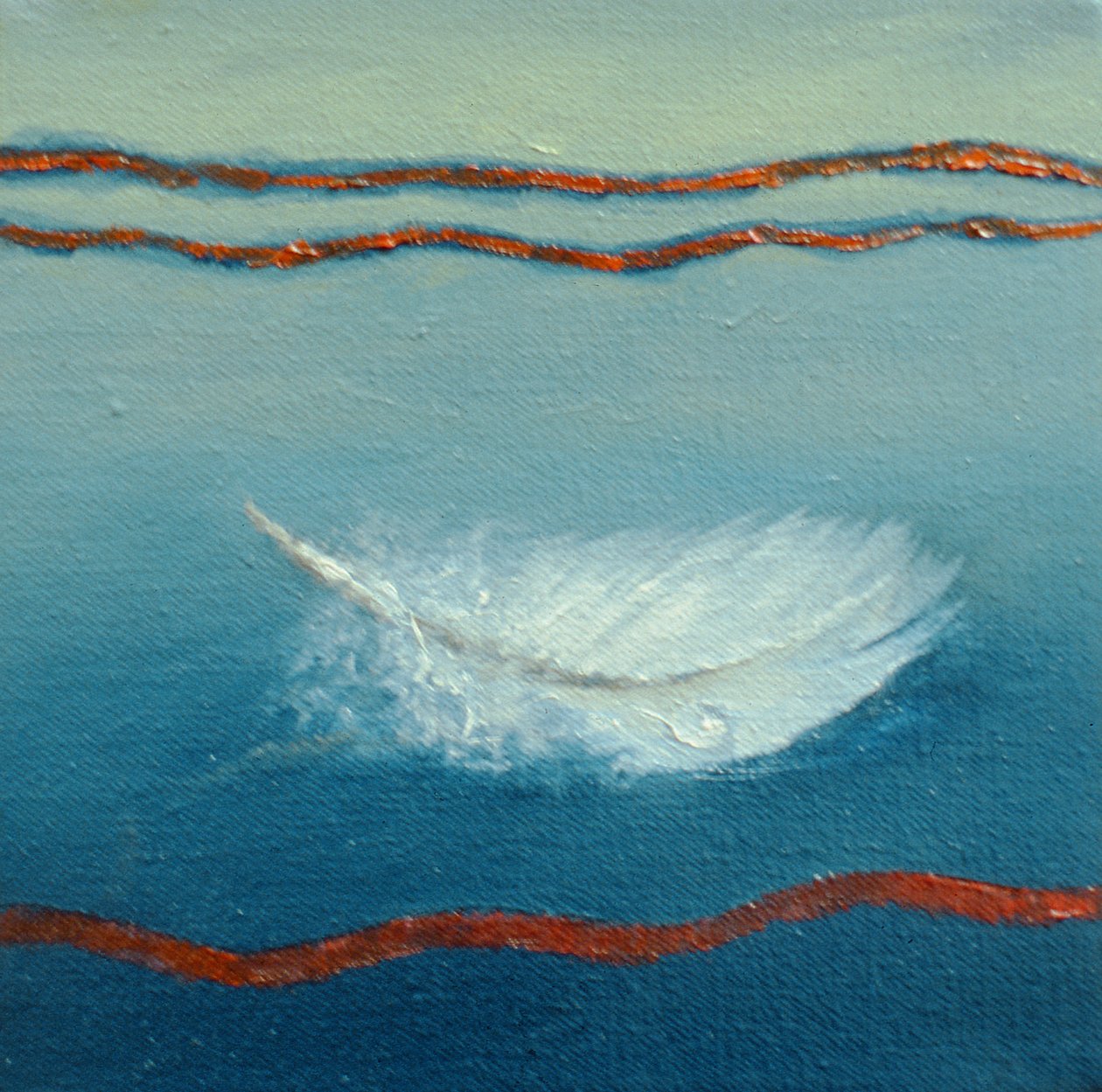 Flutuante, 2001 Feather de Lee Campbell