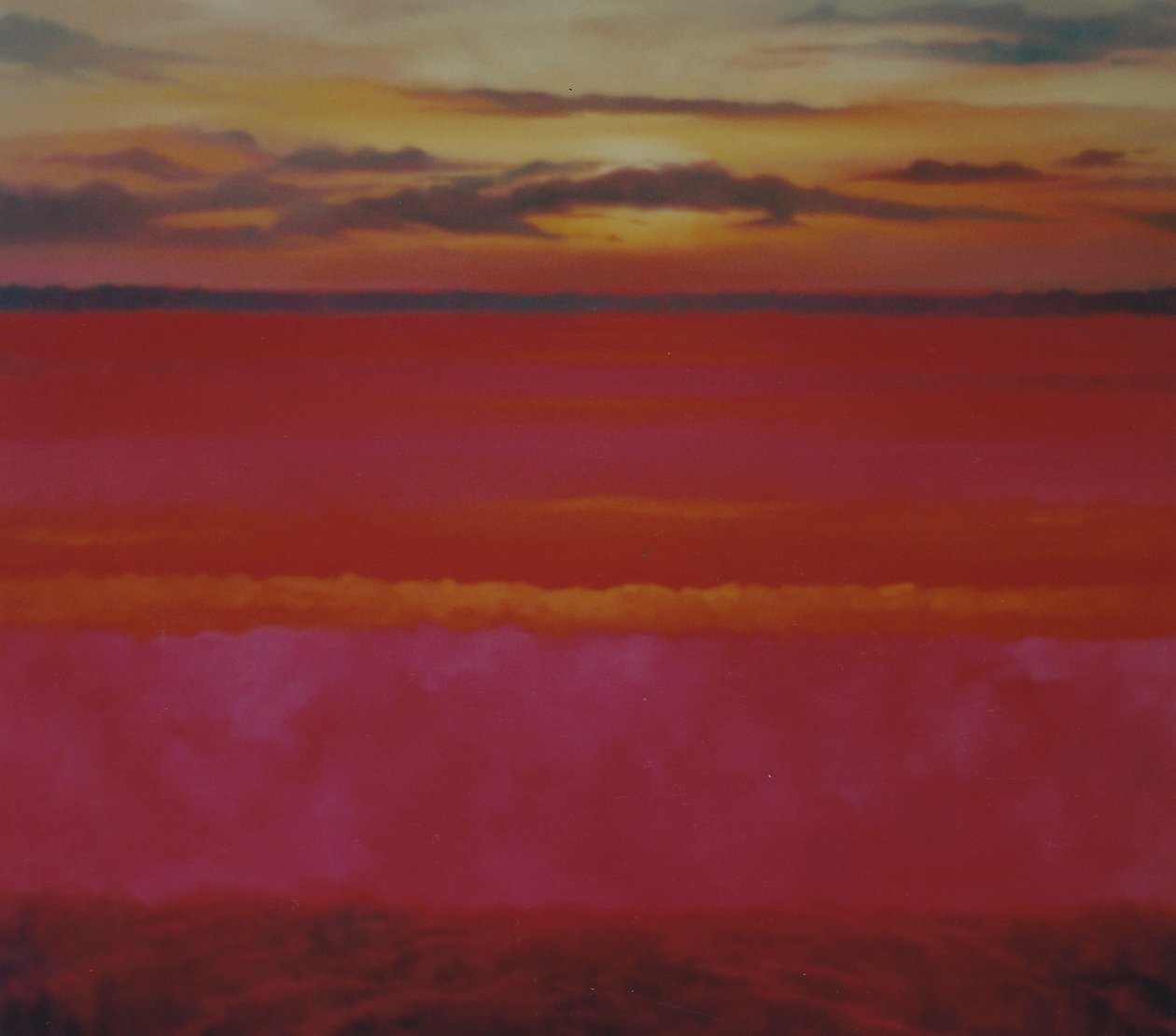 Nascer do sol brilhante, 2004 óleo sobre tela Céu e rosa paisagem abstrata de Lee Campbell