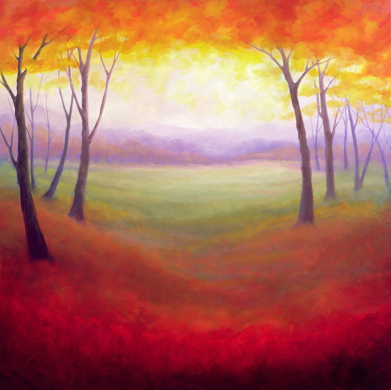 Outubro de 2006 de Lee Campbell