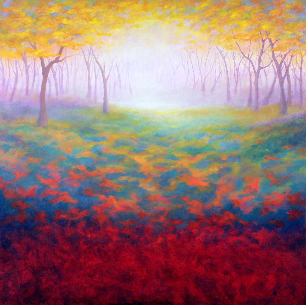 Encantado, 2005 de Lee Campbell